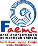 logo FAEMC
